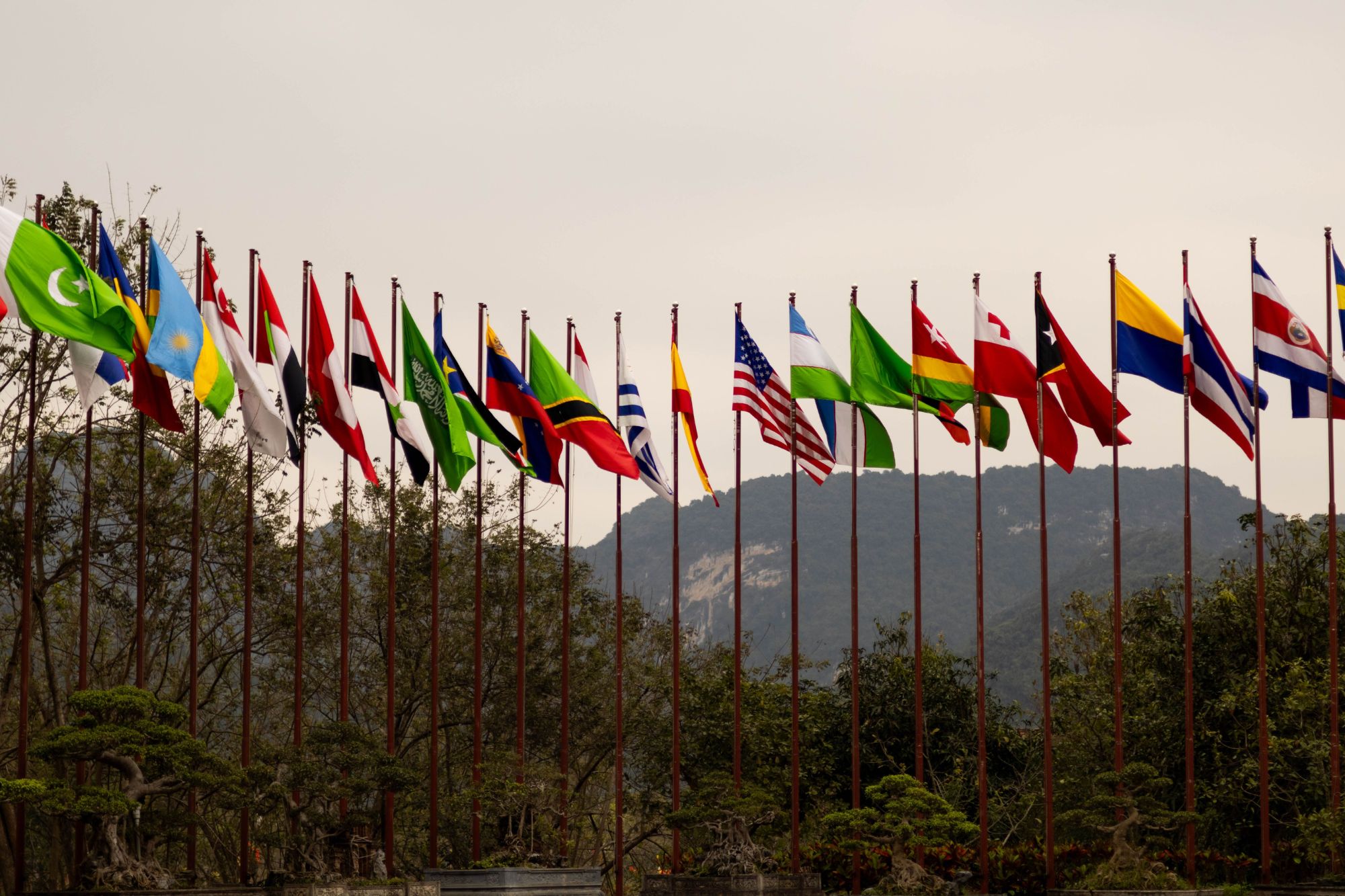 Banderas de países cooperantes.